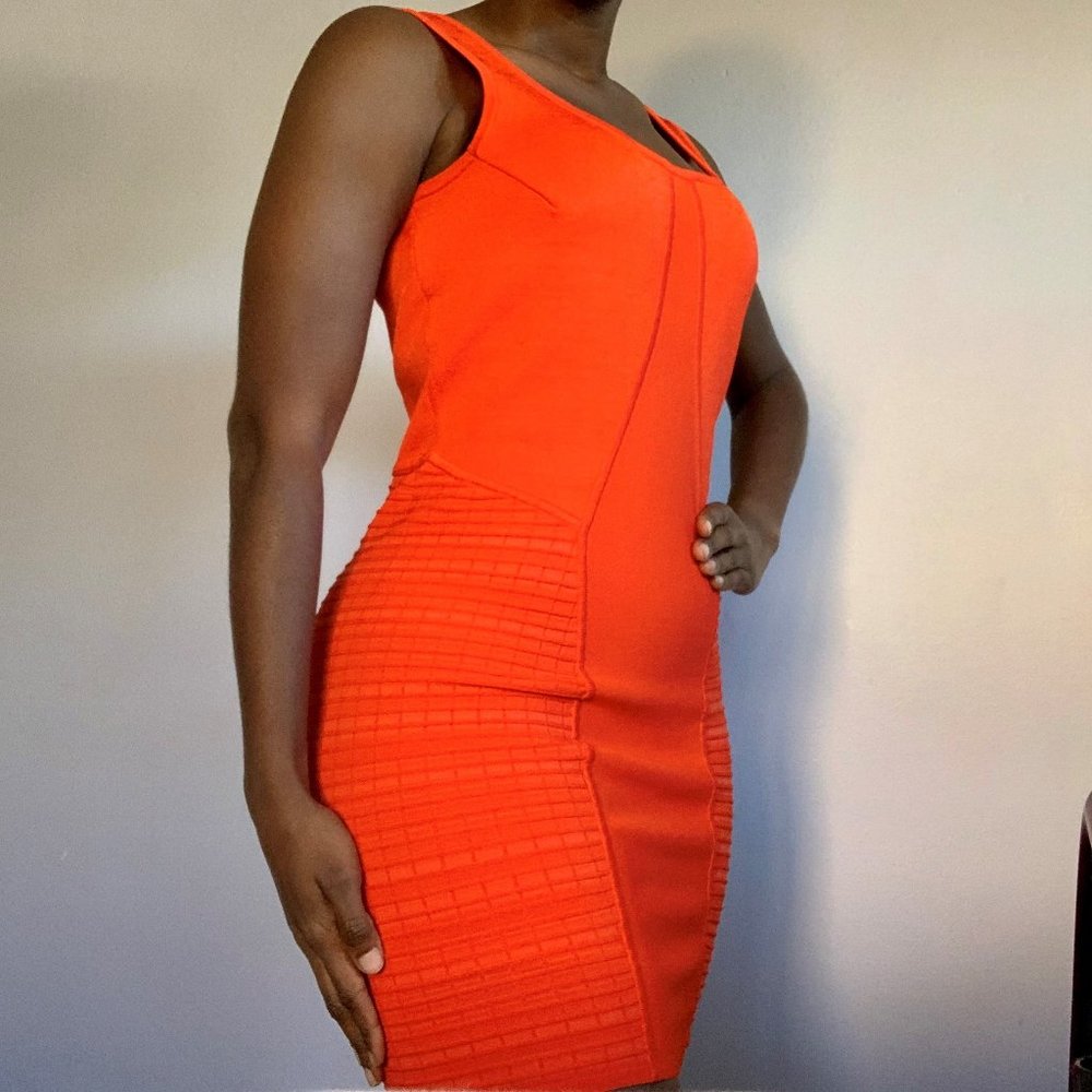 Z Spoke Zac Posen Bodycon Dress